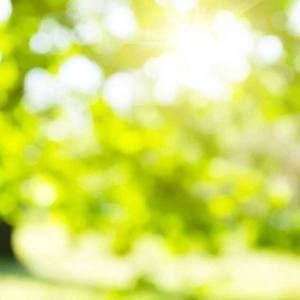 Meet your Posher, Jimmy